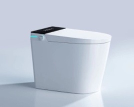 Умный унитаз с функцией биде
