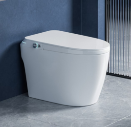 Умный унитаз с функцией биде